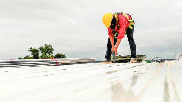 Best Skylight Installation and Repair  in Virginia Beach, VA