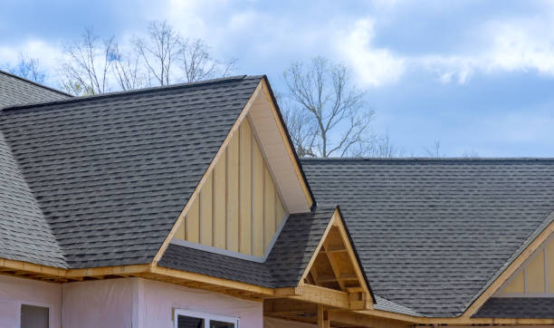 Best Gutter Installation and Repair  in Virginia Beach, VA